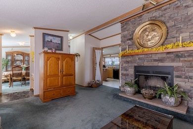 Wood Burning Fireplace