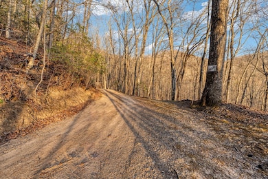 00 Brandy Ln, Franklin, NC 28734 - photo 5