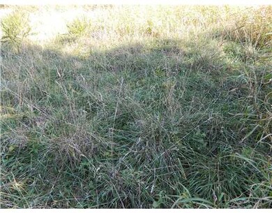 22308 N Highway 71, Winslow, AR 72959 - photo 6