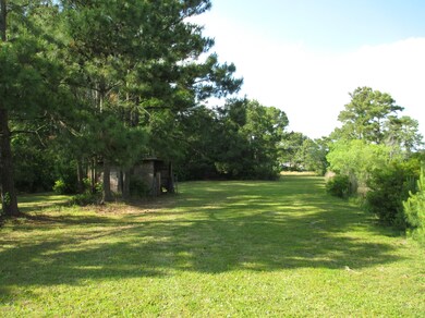West Side of Property