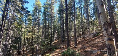 Lot 3023 & 3024 Bolwell Ln unit 3023,3024, Fort Garland, CO 81133 - photo 7