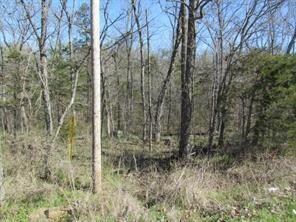 7.53 AC Whitehouse Rd, Fayetteville, AR 72701 - photo 5