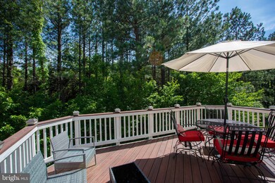 42265 St Huberts Place, Chantilly, VA 20152 - photo 4