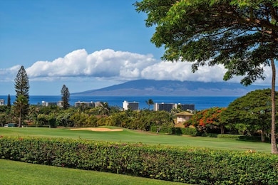 50 Puu Anoano St unit 2801, Lahaina, HI 96761 - photo 7