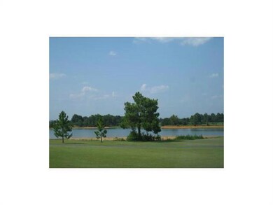 Photo. Subdivision Ponds
