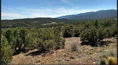 5 Broken Arrow Place, Sandia Park, NM 87047 - photo 3