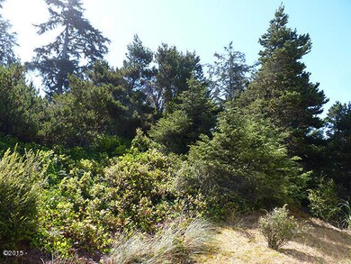 Trees on lot
