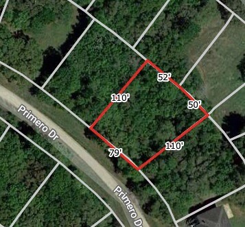 TBD Primero Dr, Brazoria, TX 77422 - photo 4