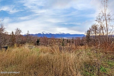 17050 E T and T Ln, Palmer, AK 99645 - photo 4