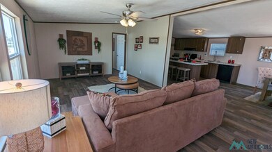 4209 Mimosa St, Carlsbad, NM 88220 - photo 2