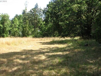 31342 Firview Ln, Creswell, OR 97426 - photo 7