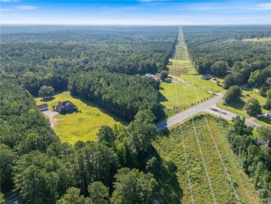 Drone / aerial view of a forest