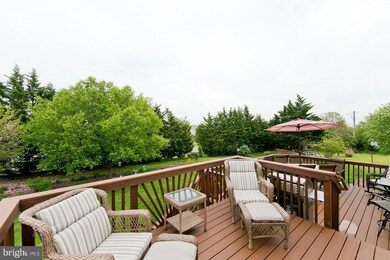 103 Button Bush Ave, Stephens City, VA 22655 - photo 5