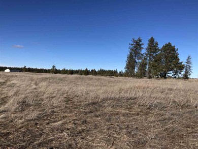 0 W State Route 904 Hwy unit 201811286, Cheney, WA 99004 - photo 5