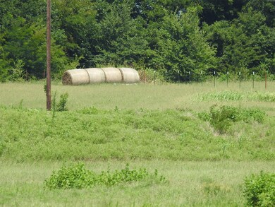 TBD County Rd 4205, Bonham, TX 75418 - photo 5