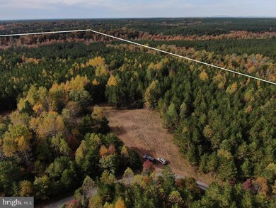 7700 Panier Rd, Spotsylvania, VA 22551 - photo 7