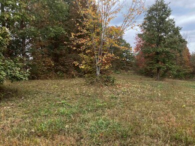 1300 Qmc Rd, Mountain View, AR 72560 - photo 4