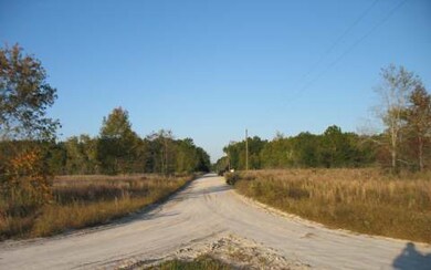 0 250th Terrace, Obrien, FL 32071 - photo 4