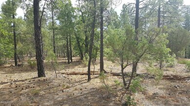 20160624_092020_resized
