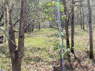 6998 Lower River Rd, Grants Pass, OR 97526 - photo 7