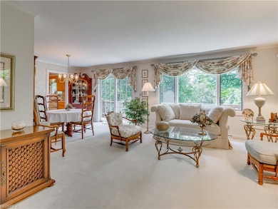 Formal living and dining areas with sliders to the