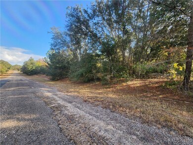 2176 W Conway Dr, Citrus Springs, FL 34434 - photo 2