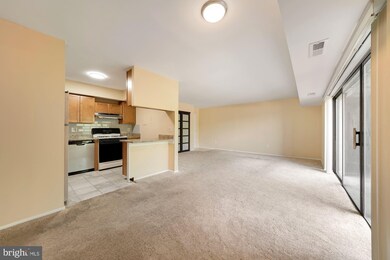 7857 Enola St unit 107, McLean, VA 22102 - photo 5