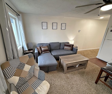 219 Mountain Lodge, Snowshoe, WV 26209 - photo 7