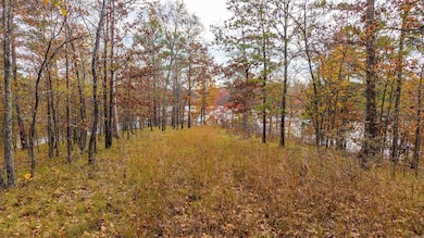 238 Dellmere Dr, Hot Springs, AR 71913 - photo 3