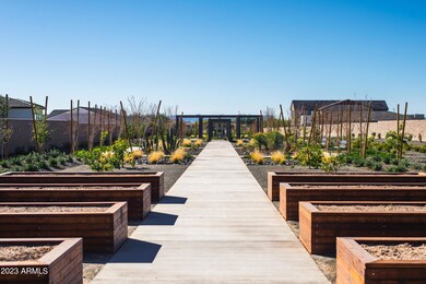 Canopy Amenities