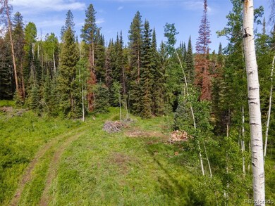 0 Springboard Colt Trail unit 8259371, Oak Creek, CO 80467 - photo 7