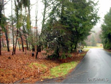 405 Hillcrest Cir unit 3, Hendersonville, NC 28792 - photo 2