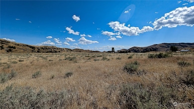 158 Riverside Cutoff Rd, Riverside, WA 98849 - photo 4