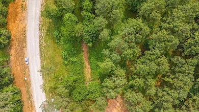 04-DJI_20250611094307_0034_D