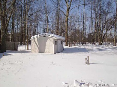 Shed
