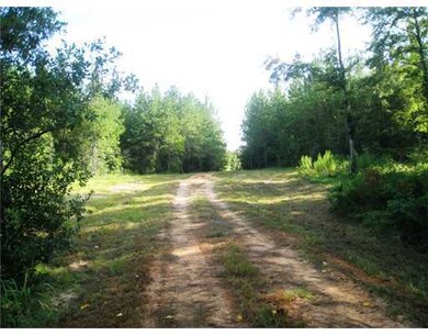 0 Barton Agricola Rd unit 3231818, Lucedale, MS 39452 - photo 3