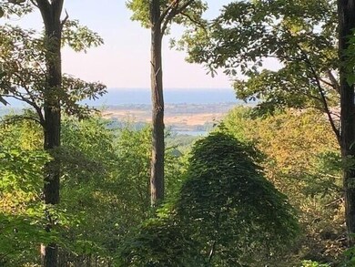 silvervista2