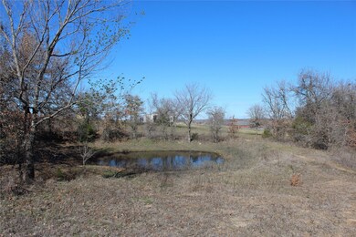 0000 Old Agnes Rd, Weatherford, TX 76088 - photo 6