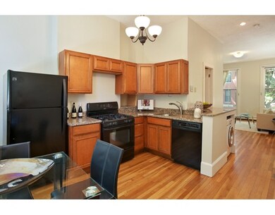 22 E Springfield St unit 2, Boston, MA 02118 - photo 5