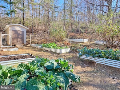 4119 Bull Run Mountain Rd, The Plains, VA 20198 - photo 7