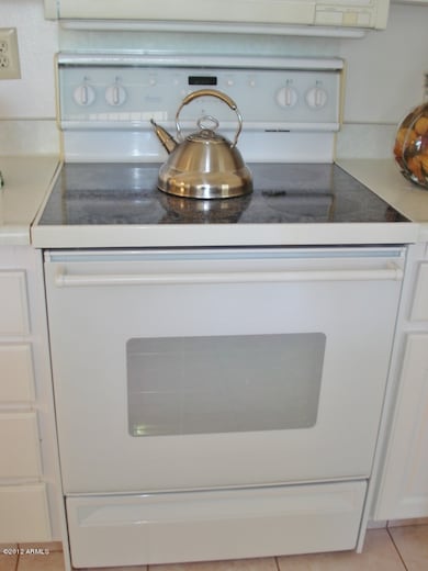 11145 W Emerald Dr, Sun City, AZ 85351 - photo 5