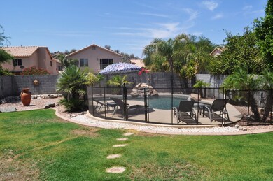 Back yard Pool area