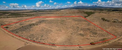 3433 Cr 119, Hesperus, CO 81326 - photo 6