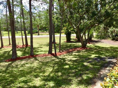Shady Front Yard
