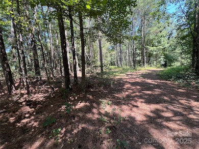 0 Hollis Rd unit CAR4278449, Ellenboro, NC 28040 - photo 5