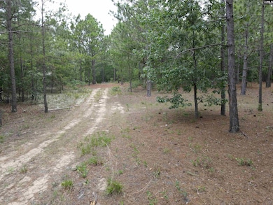 1409 Robinson Town Rd unit 6, Cassatt, SC 29032 - photo 3