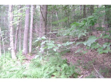 00 Beaver Pond Rd, Lyman, NH 03585 - photo 7