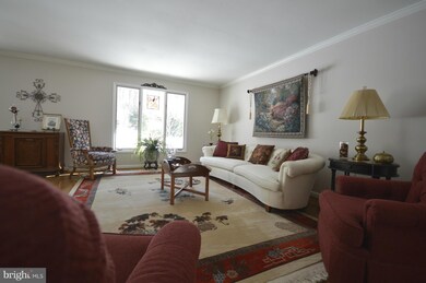 115 Launchris Dr, Winchester, VA 22602 - photo 5