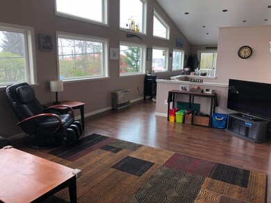 Living Room Windows