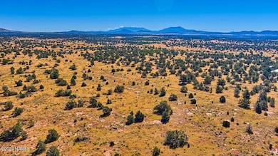 566 N Kaibab Rd Photo 3